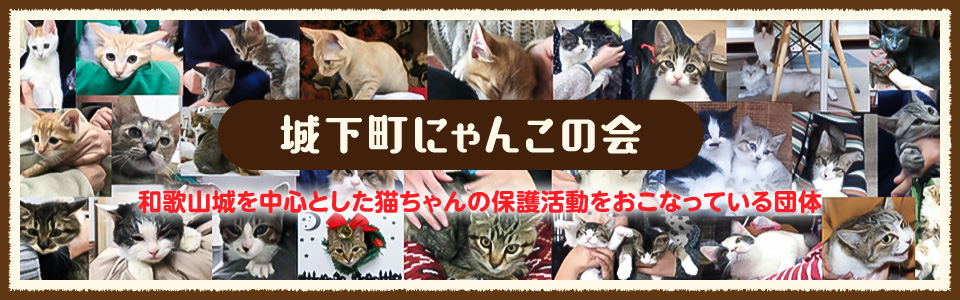 城下町にゃんこの会