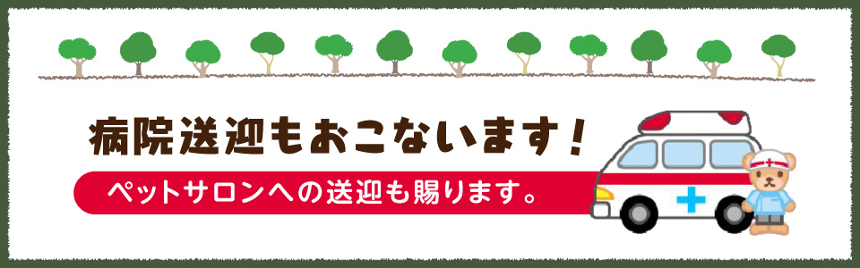 ペットの病院送迎もおこないます！