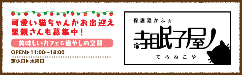 保護猫カフェてらねこや